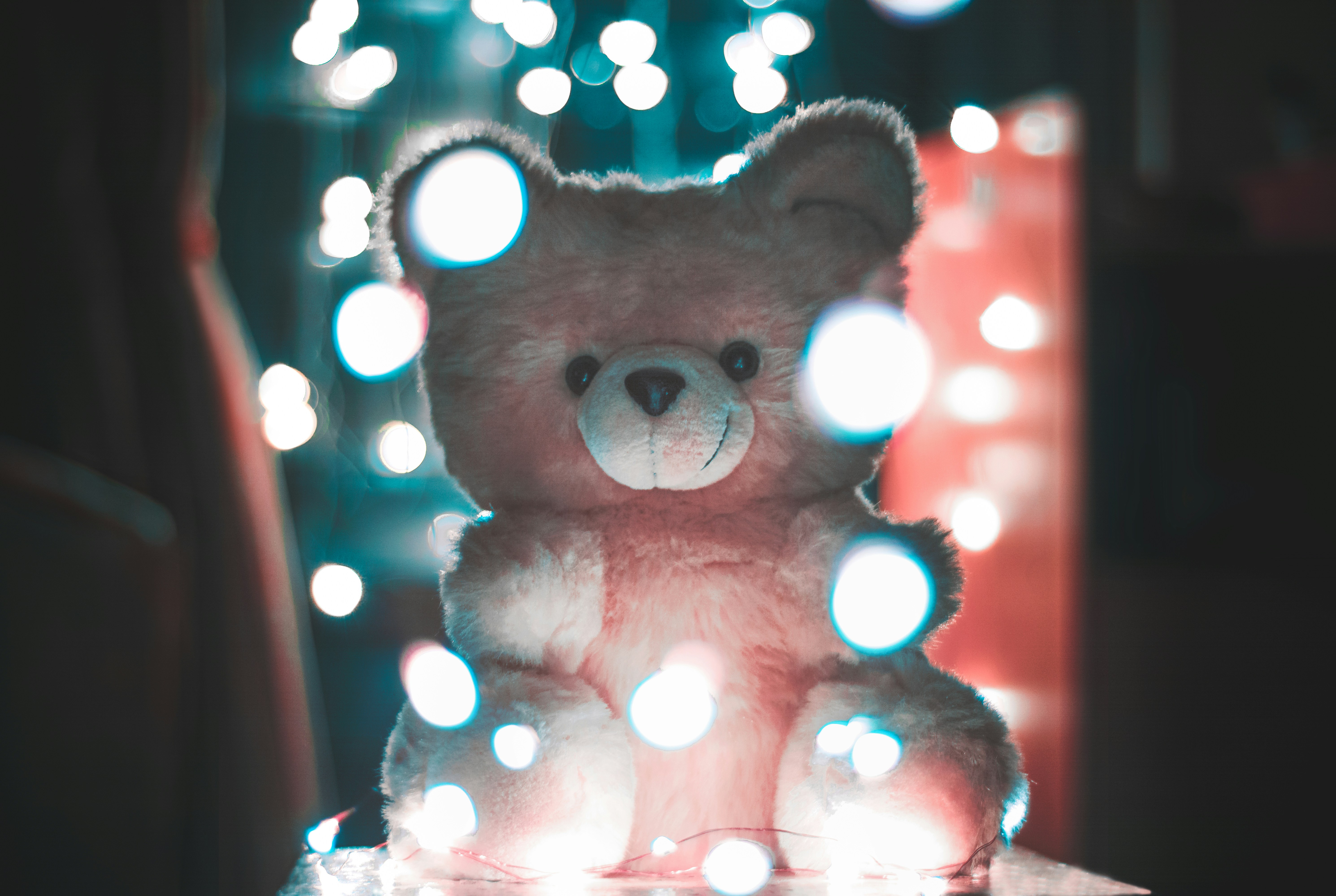 Adorable Plush Teddy Bear