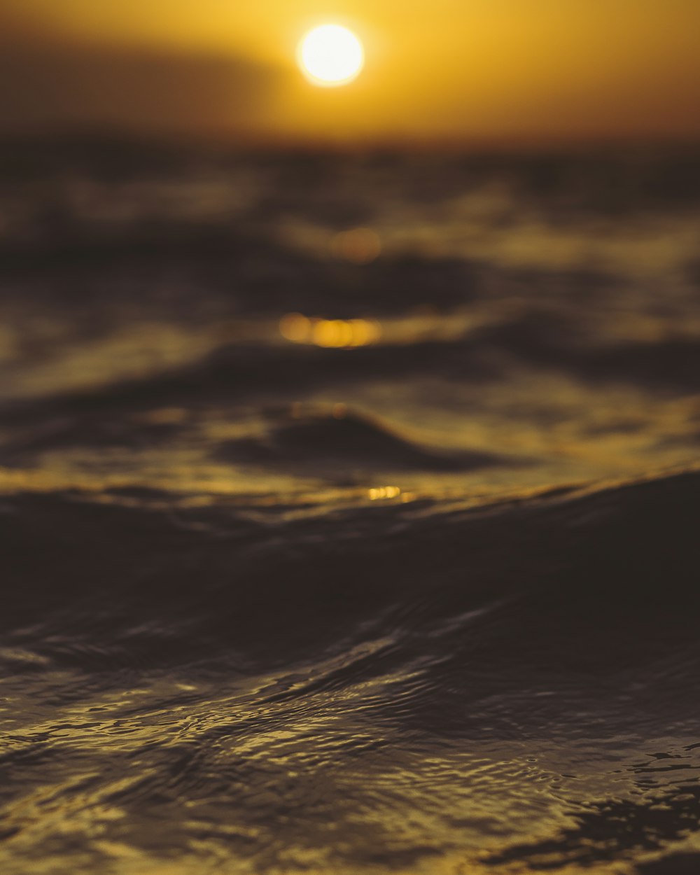 macro photography of body of water