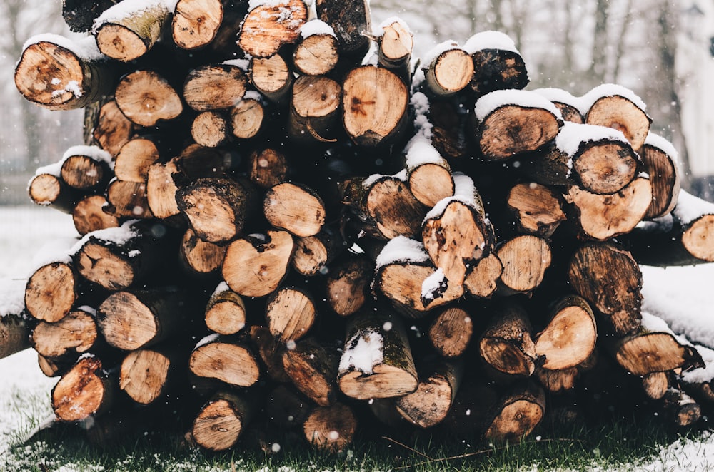 selective focus photography of firewood on snow covered grass