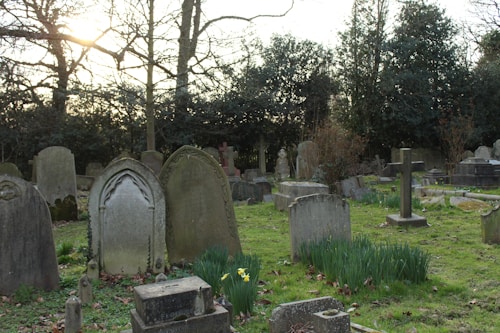 A cemetery with various old tombstones and gravestones of different shapes and sizes. The tombstones are arranged on a grassy field with patches of blooming flowers, such as daffodils. Tall trees and dense shrubbery provide a natural backdrop. The sun is setting or rising, casting a soft light over the scene.