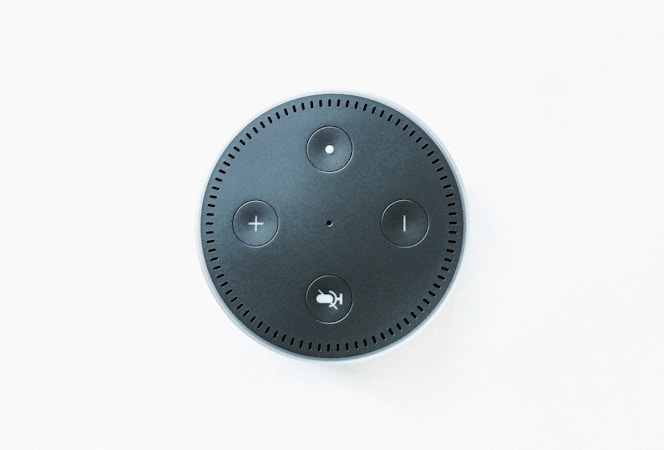 Smart speaker representing IoT devices on a home network