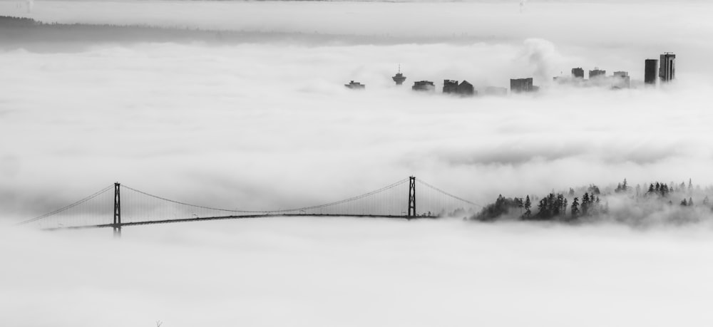 landscape photo of bridge covered with fog