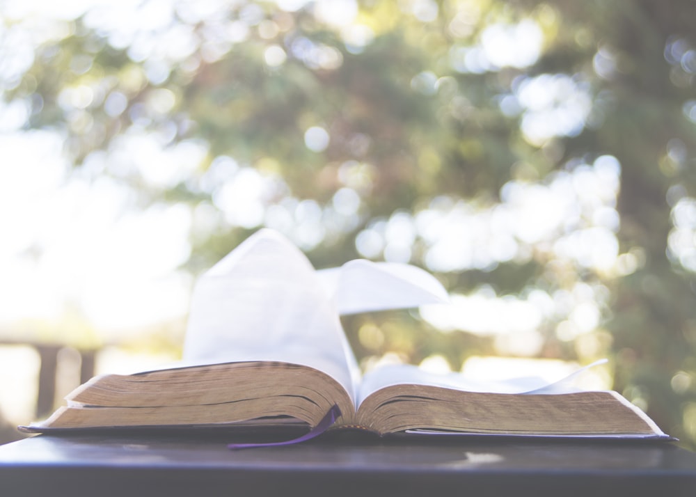 opened book on table