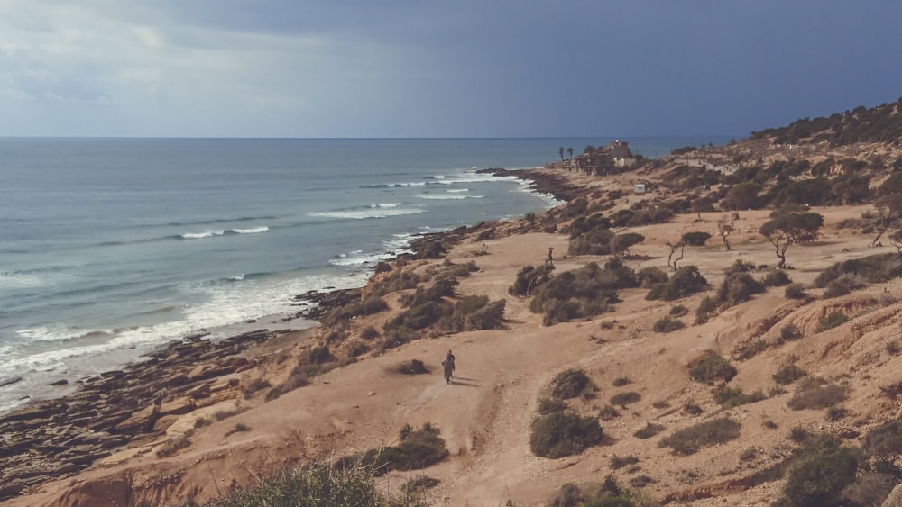 bird's eye view photograph of people walking near shoreline