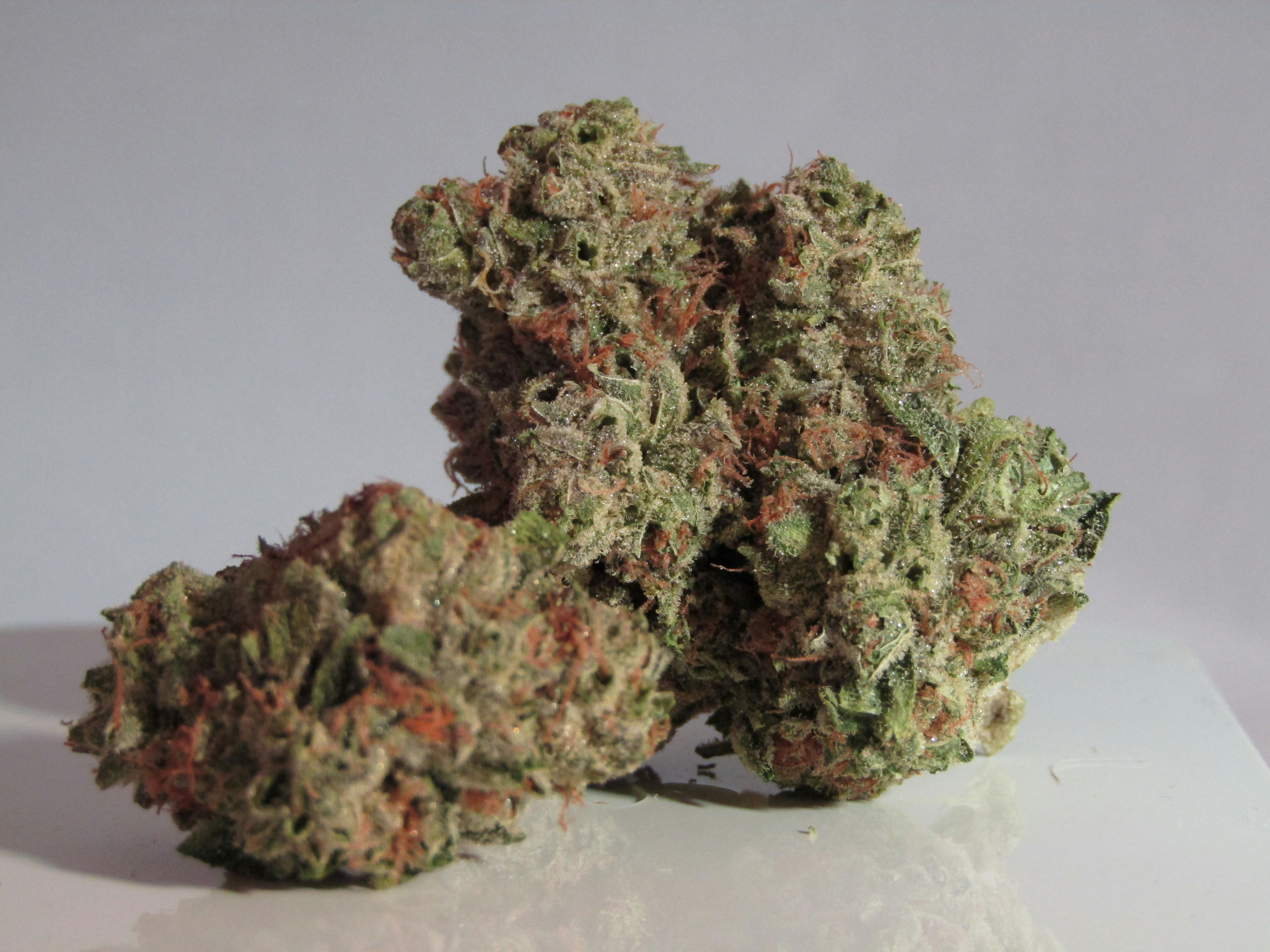 Macro shot of sticky trichomes on cannabis buds.