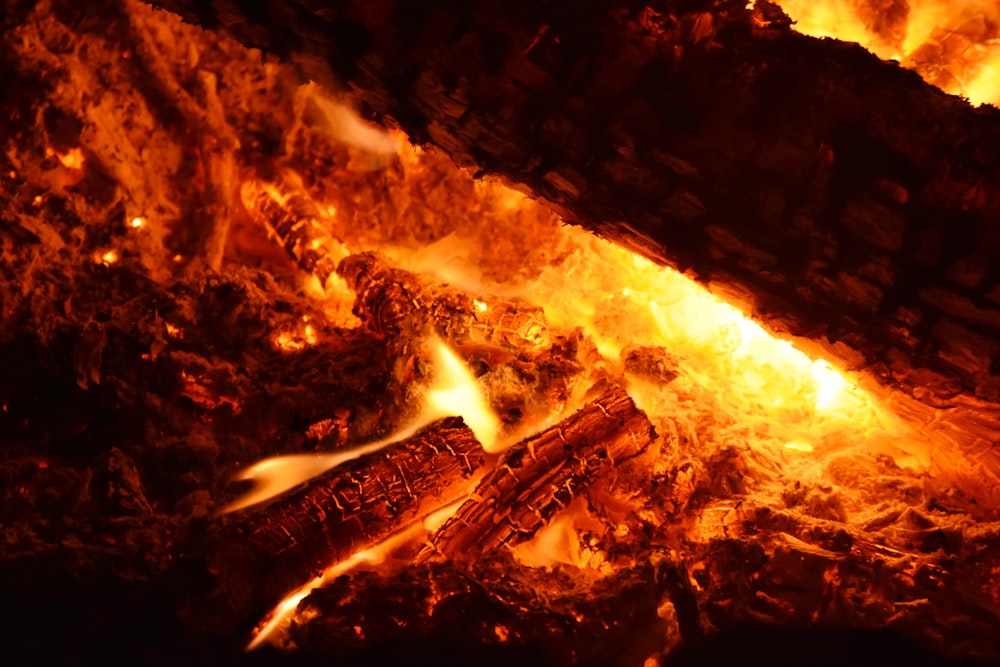 burning wood