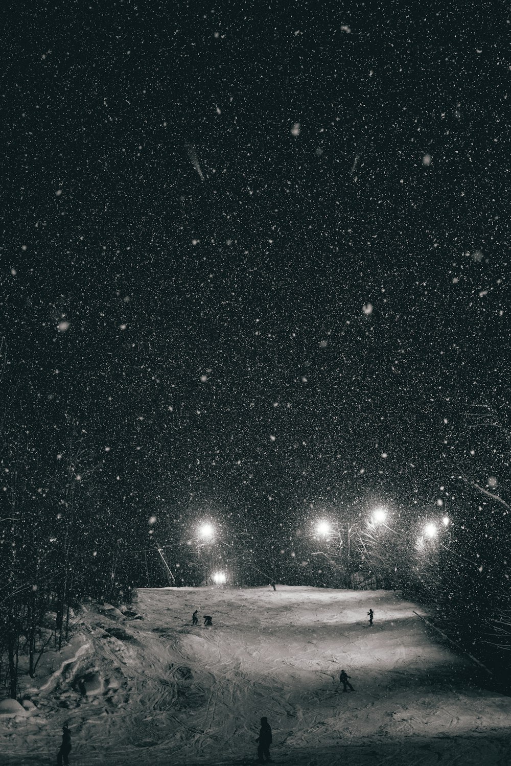 starry sky over tundra and lights