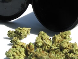 A collection of dried cannabis buds is placed on a white surface, with a black container lying open next to them. The cannabis appears to have a light green color with hints of orange and brown, indicating its freshness.