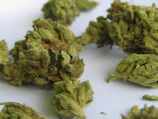 green kush on white textile