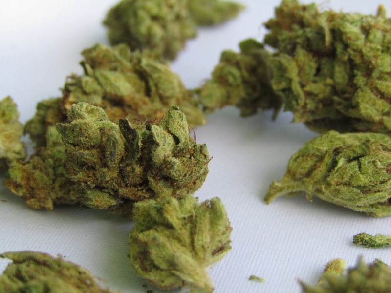 Nova britanska studija otkriva: Marihuana značajno povećava rizik od psihoza i šizofrenije