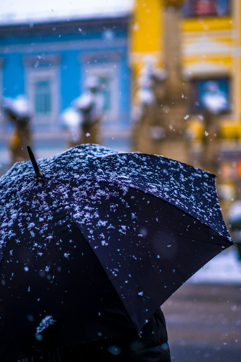 Photographie sélective de mise au point d’une personne sous un parapluie