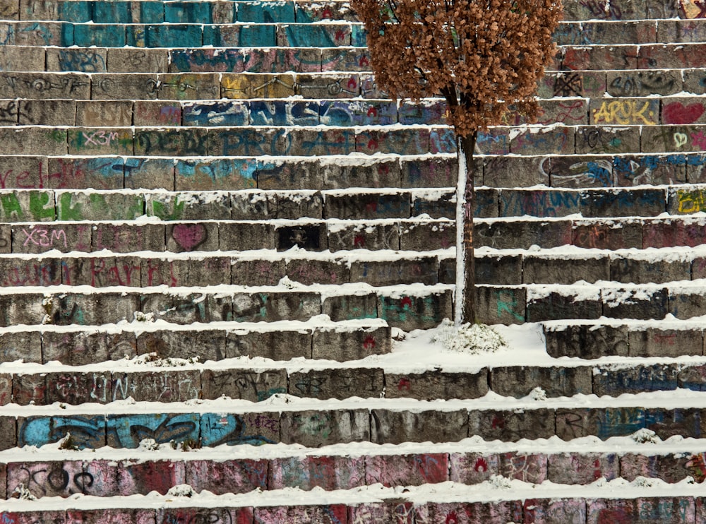 snow covered stairs and tree