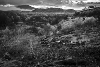 A black and white landscape photograph depicting a rugged terrain with sparse vegetation and charred, barren patches. The area appears to have recently experienced a fire, indicated by the burnt trees and plants. In the background, there are rolling hills and a mountain partially shrouded in clouds, creating a moody atmosphere. The sky is overcast with thick clouds, casting dramatic light and shadows across the scene.