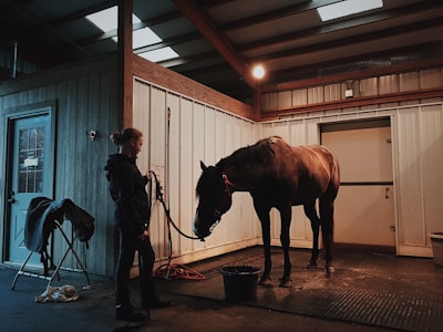 man standing in front of horse