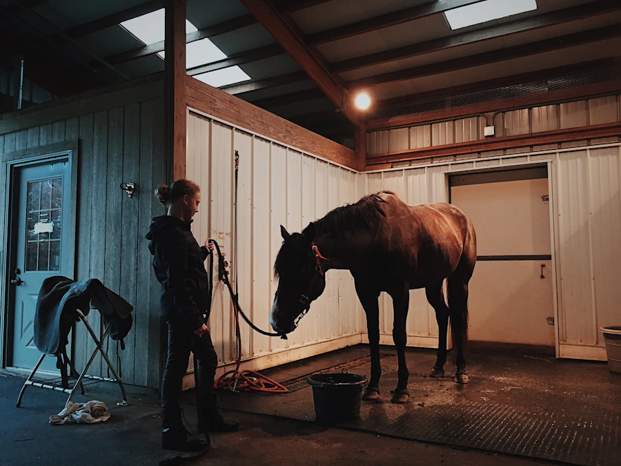 Instructor with horse at Glen Aire Stables