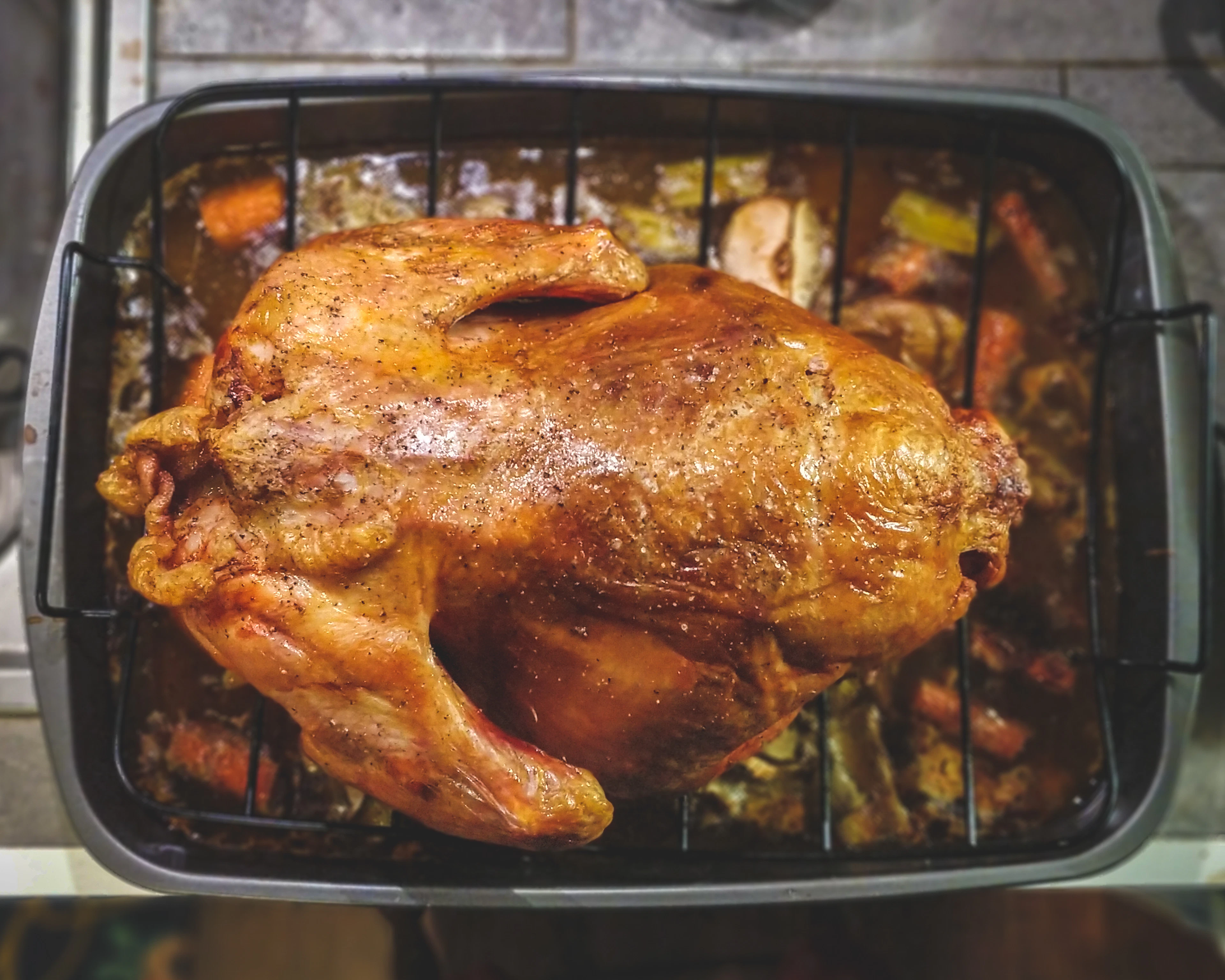 A roast bird in a roasting pan
