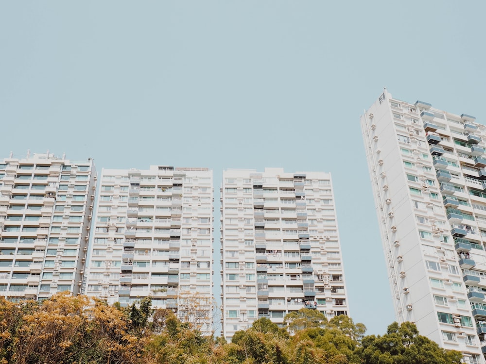 four white concrete building under blue sky