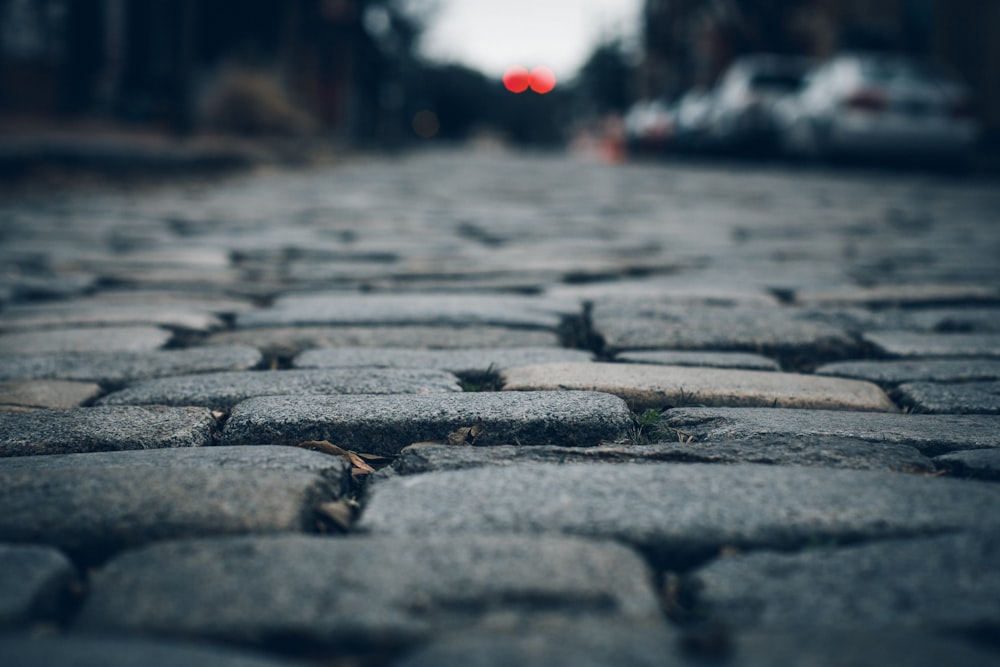 selective focus photo of brown leaf on concrete brick