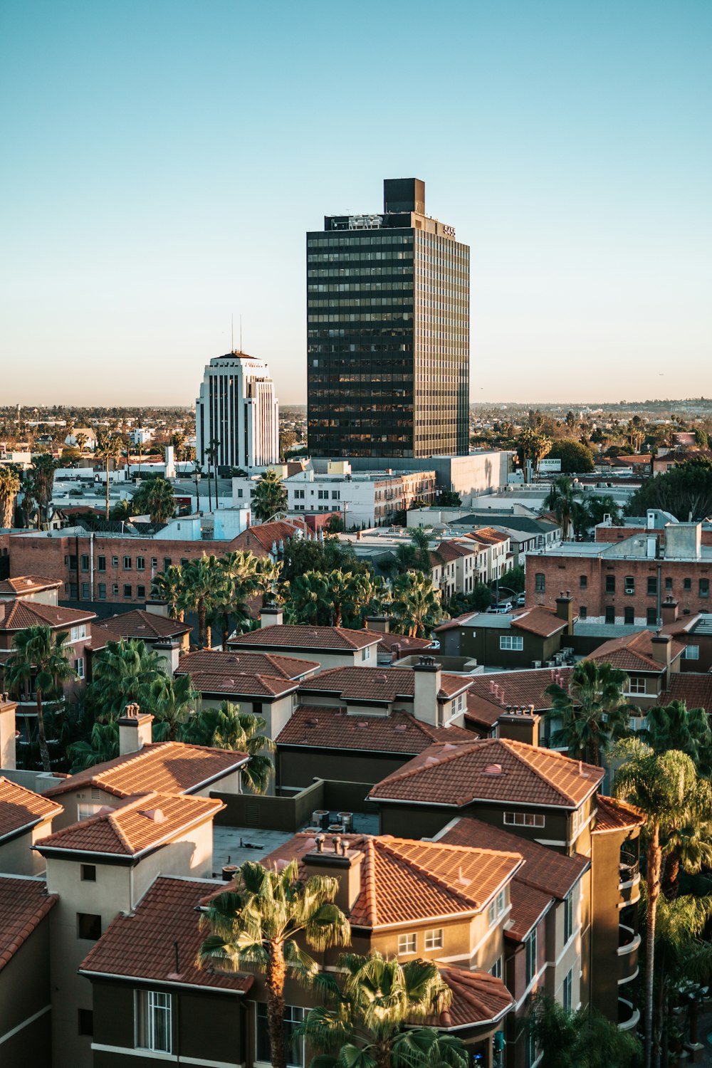 houses and buildings during daytime