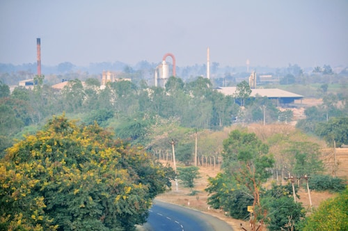 A rural landscape featuring a road winding through lush greenery, with trees bearing yellow flowers. In the background, industrial structures with tall smokestacks are partially obscured by haze, suggesting a mix of natural and industrial environments.