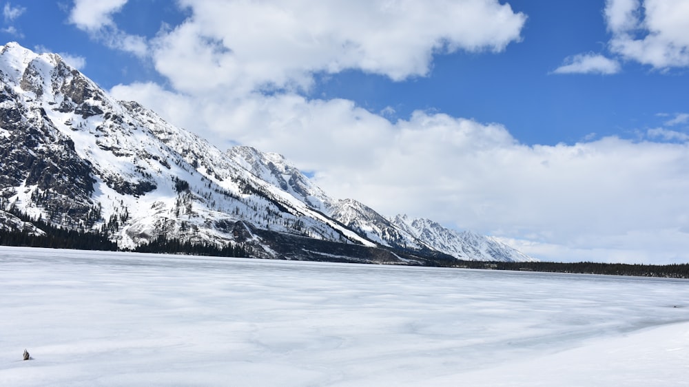 mountain covered by snow