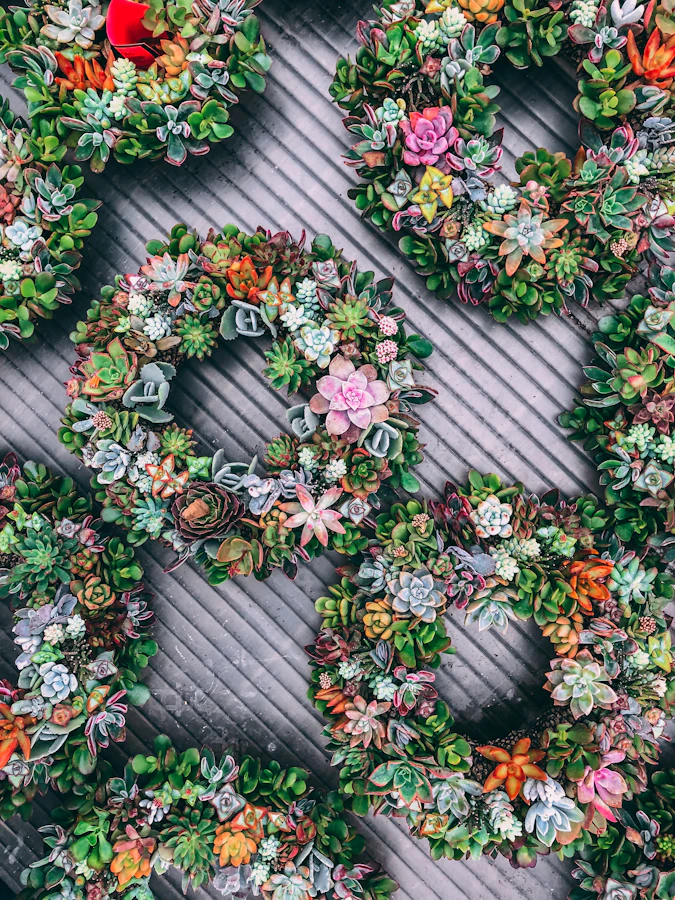 Succulent Wreath For Your Home Decor | How To Make A Succulent Wreath | Garden Season Decor Ideas Succulent Wreath For Your Home Decor | How To Make A Succulent Wreath | Garden Season Decor Ideas