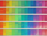 rainbow frequency