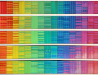 rainbow frequency