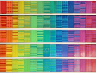 rainbow frequency