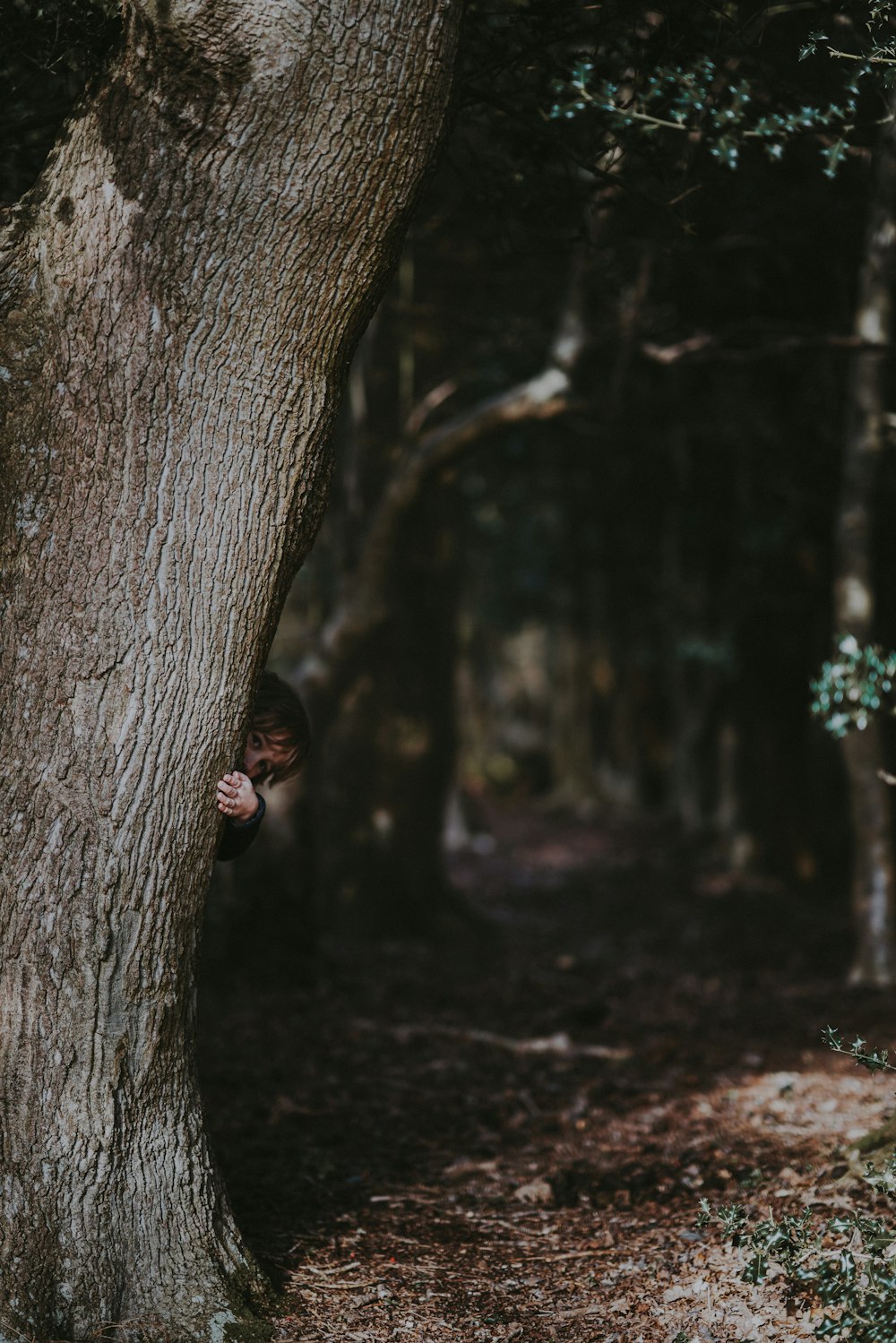 eine Person, die sich hinter einem Baum im Wald versteckt