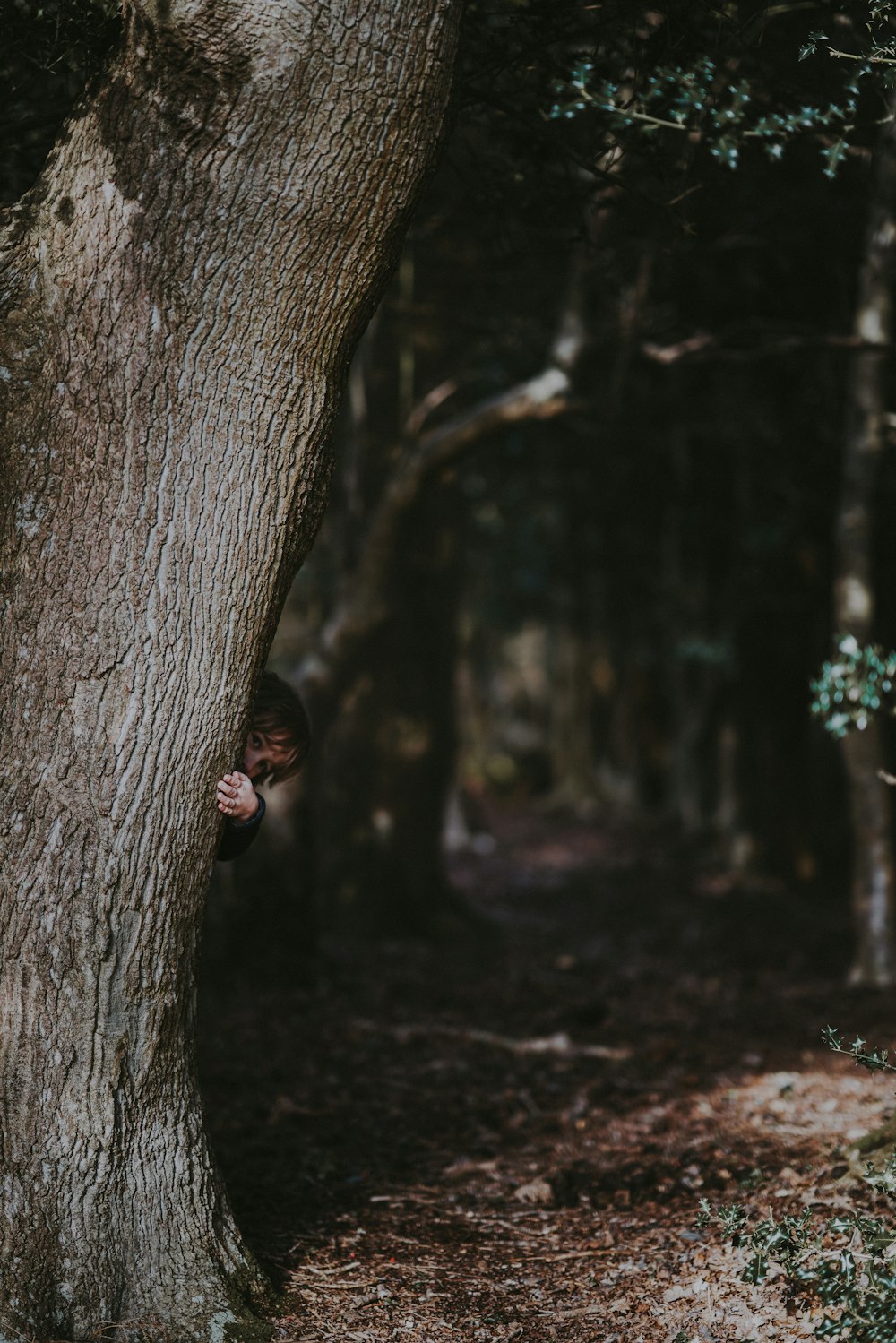 Una persona che si nasconde dietro un albero nel bosco