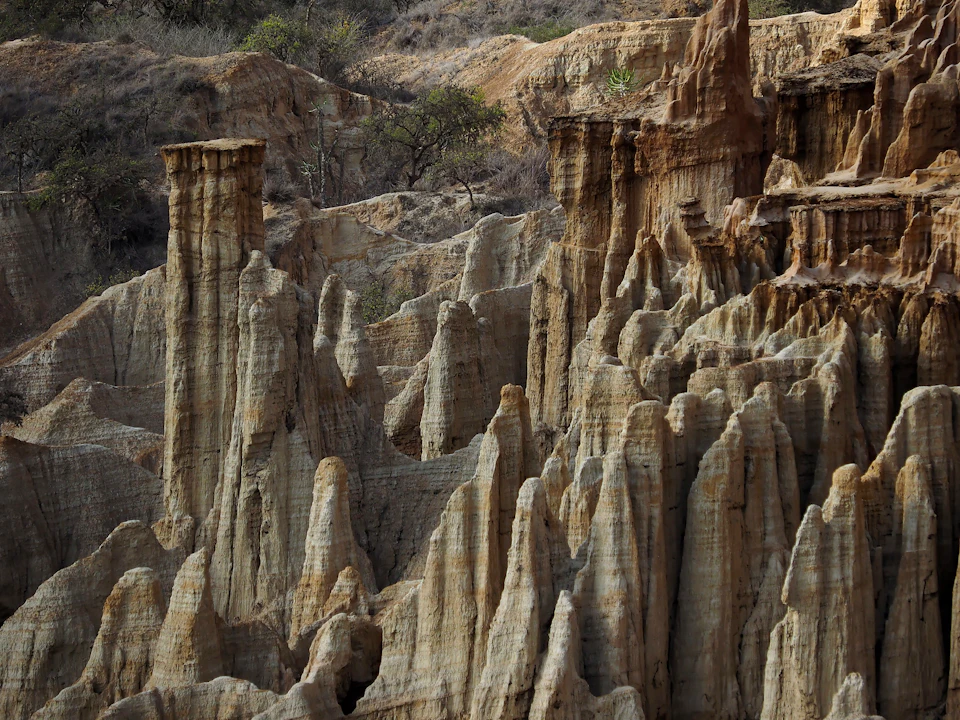 The image depicts a rugged landscape with numerous tall, cone-shaped rock formations that have been worn down over time by weathering and erosion. The rocks are predominantly beige in color, with some brown and gray hues adding contrast to their appearance. The formation is situated on the side of a hill, providing a sense of depth and perspective to the scene.

In addition to the rock formations, there are several trees scattered throughout the image, further enhancing the natural beauty of the landscape.
