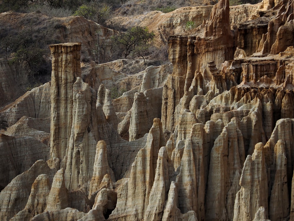 brown rock formation