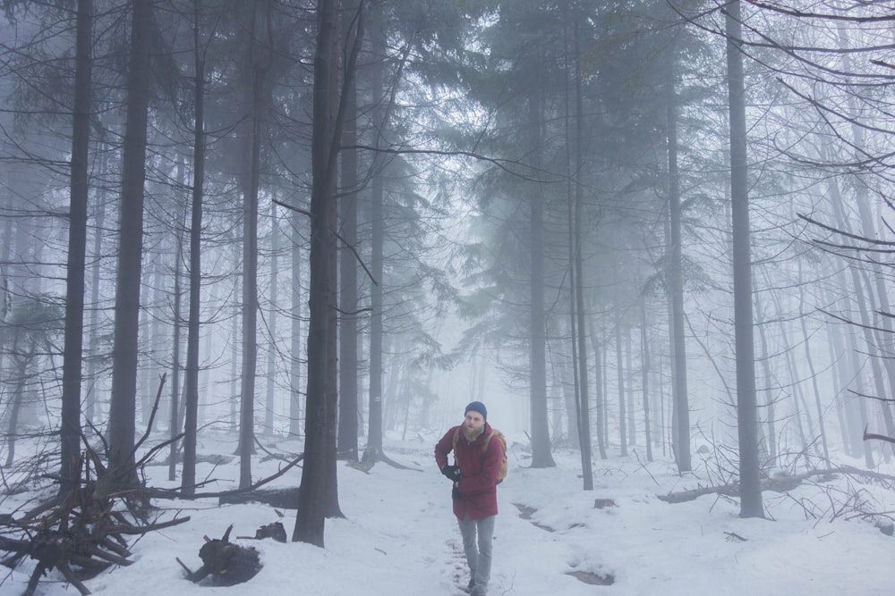 pessoa em pé perto da árvore nua durante o dia de neve