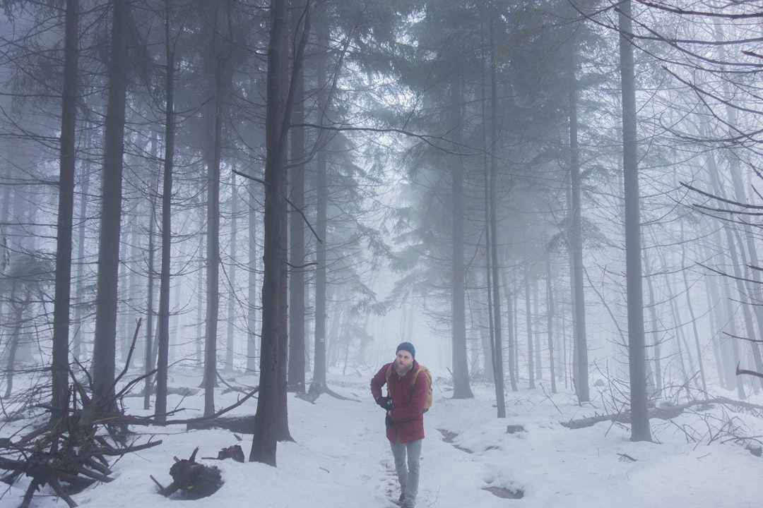 Forest photo spot Ożenna Bieszczady