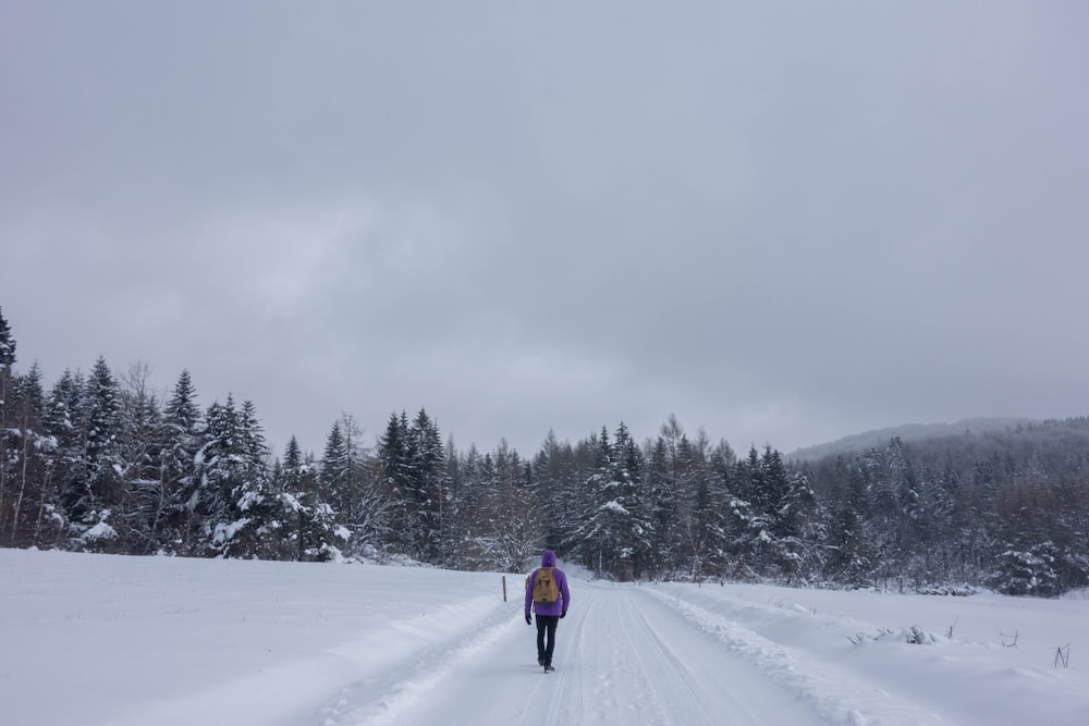 person walking on snow