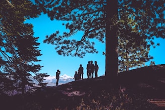 Silhouettes of people gathered on a hilltop, surrounded by tall pine trees, with a clear view of snow-capped mountains in the background under a bright blue sky.