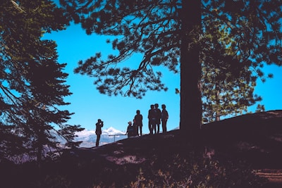 Silhouettes of people gathered on a hilltop, surrounded by tall pine trees, with a clear view of snow-capped mountains in the background under a bright blue sky.