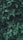 green leaf plants