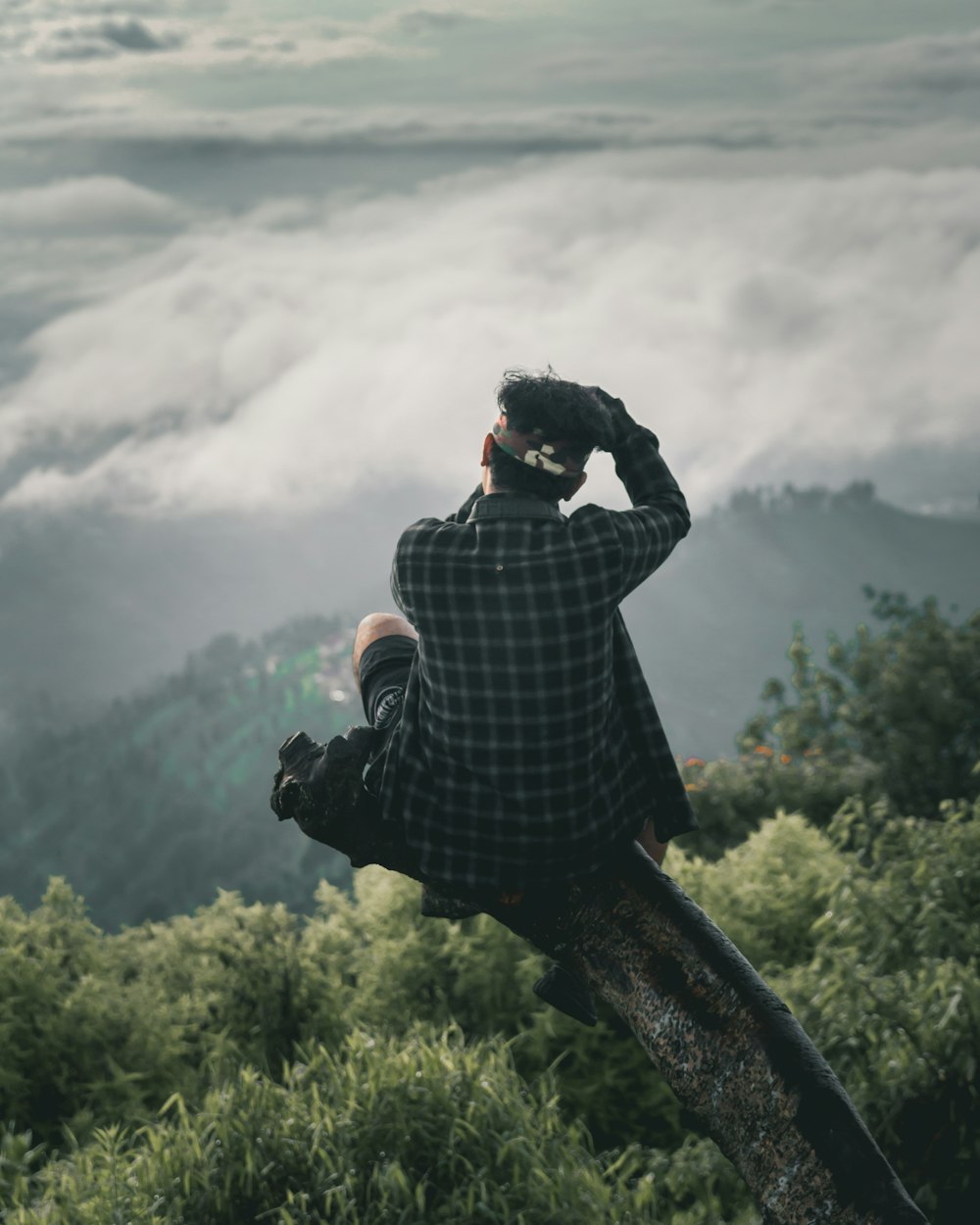 Homme assis sur une branche d’arbre près de la montagne sous le ciel blanc