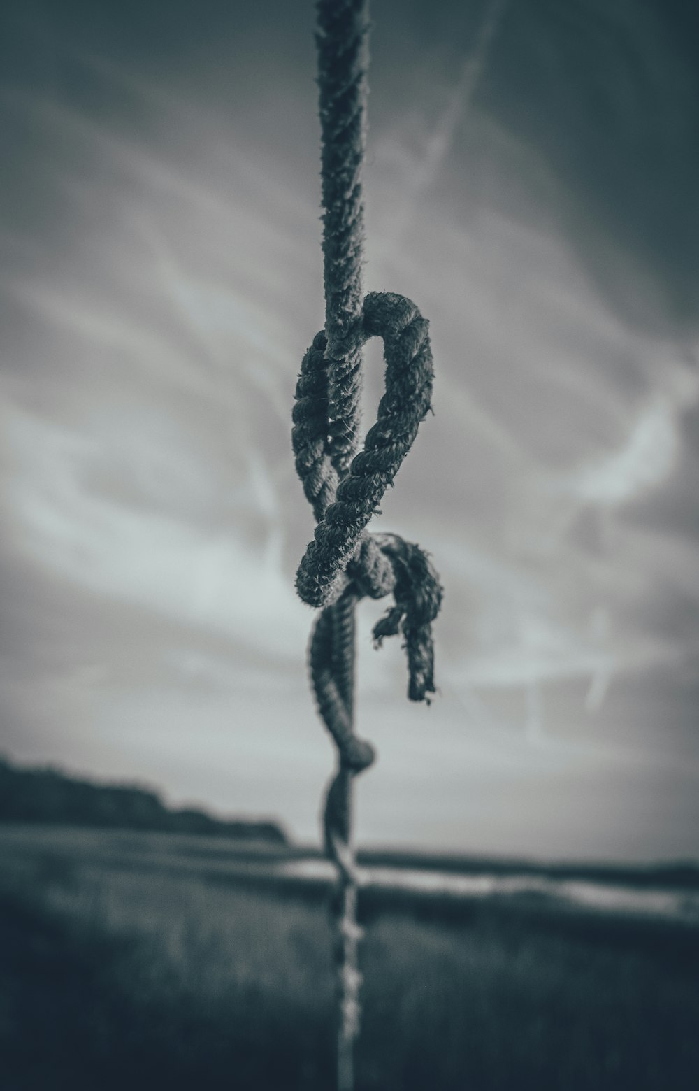 foto in scala di grigi della corda