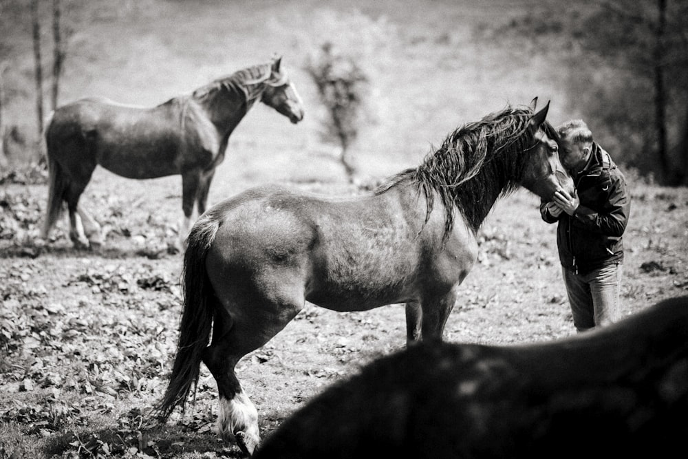 Foto en escala de grises de un hombre besando a un caballo