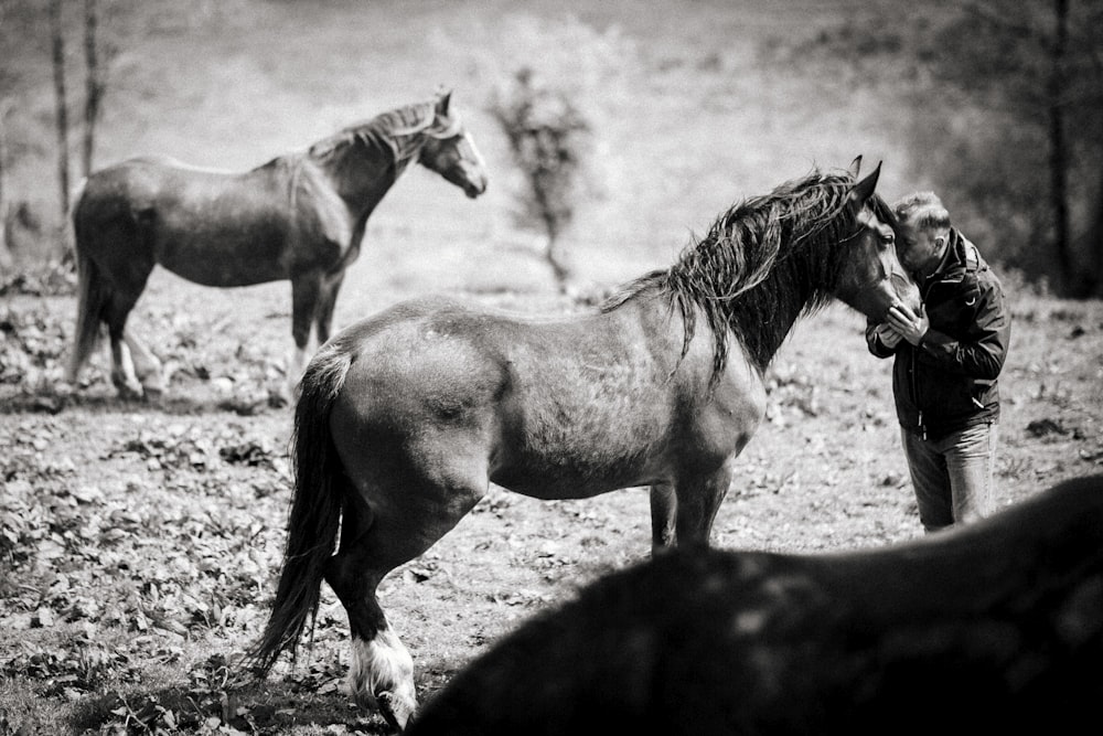 grayscale photo of man kissing horse