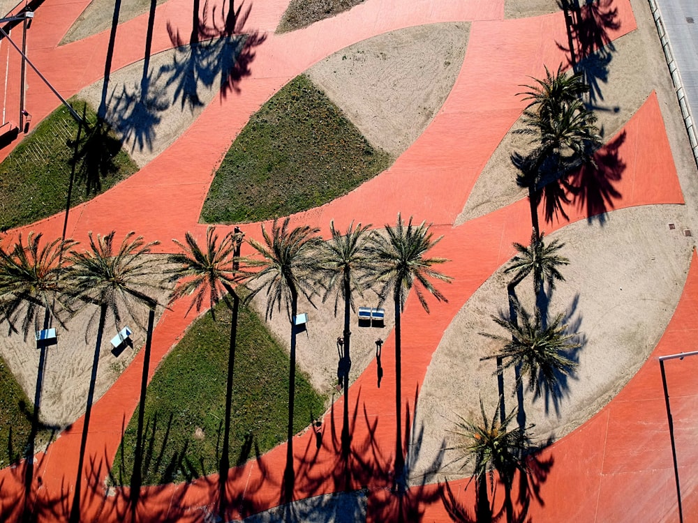 birds eye view of tropical trees