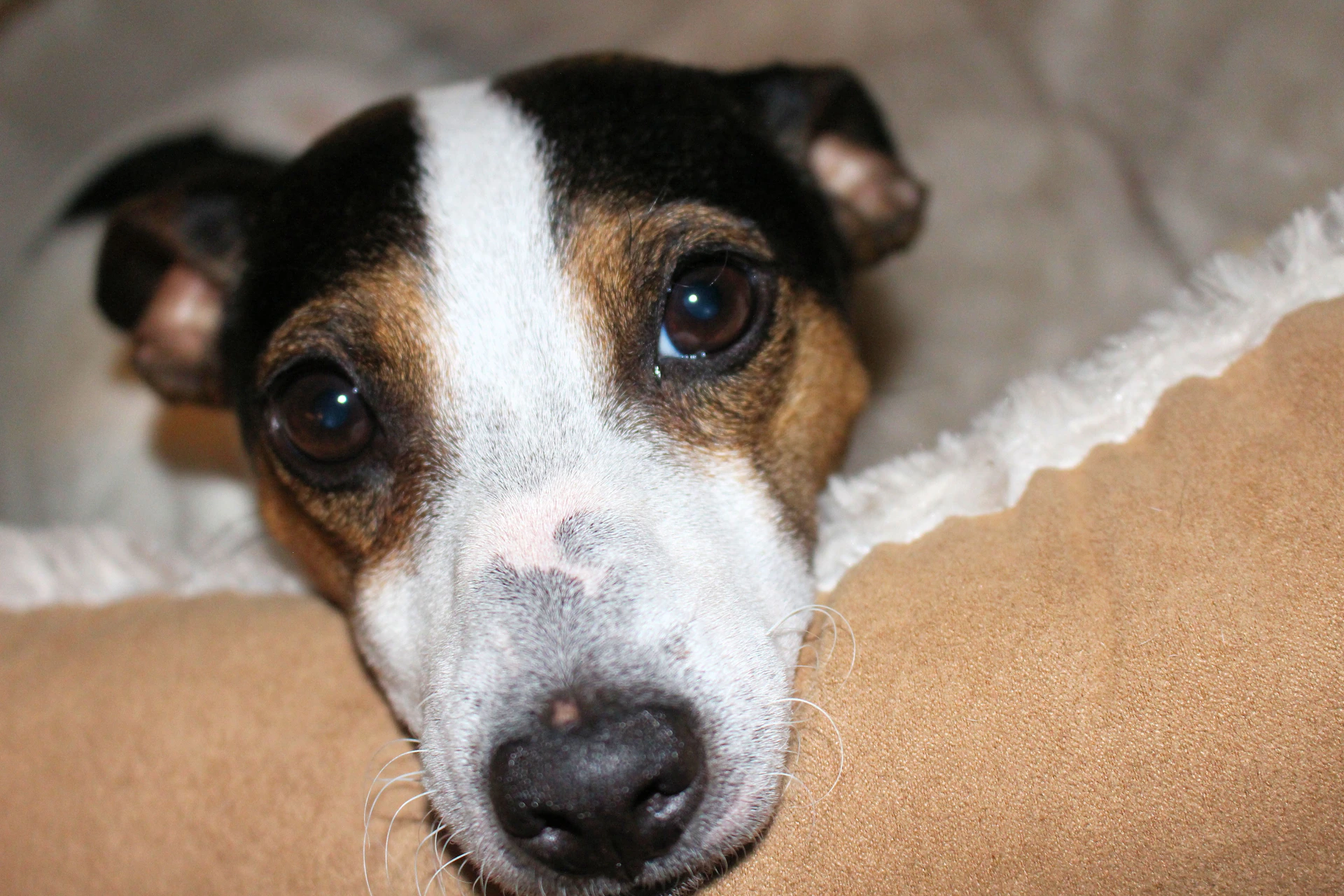 woman wearing yellow long-sleeved dress under white clouds and blue sky during daytime
