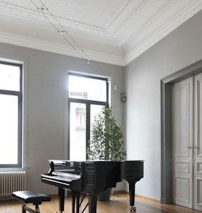 brown grand piano inside white room