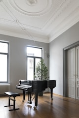 A grand piano in a sunlit room surrounded by sheet music and plants.