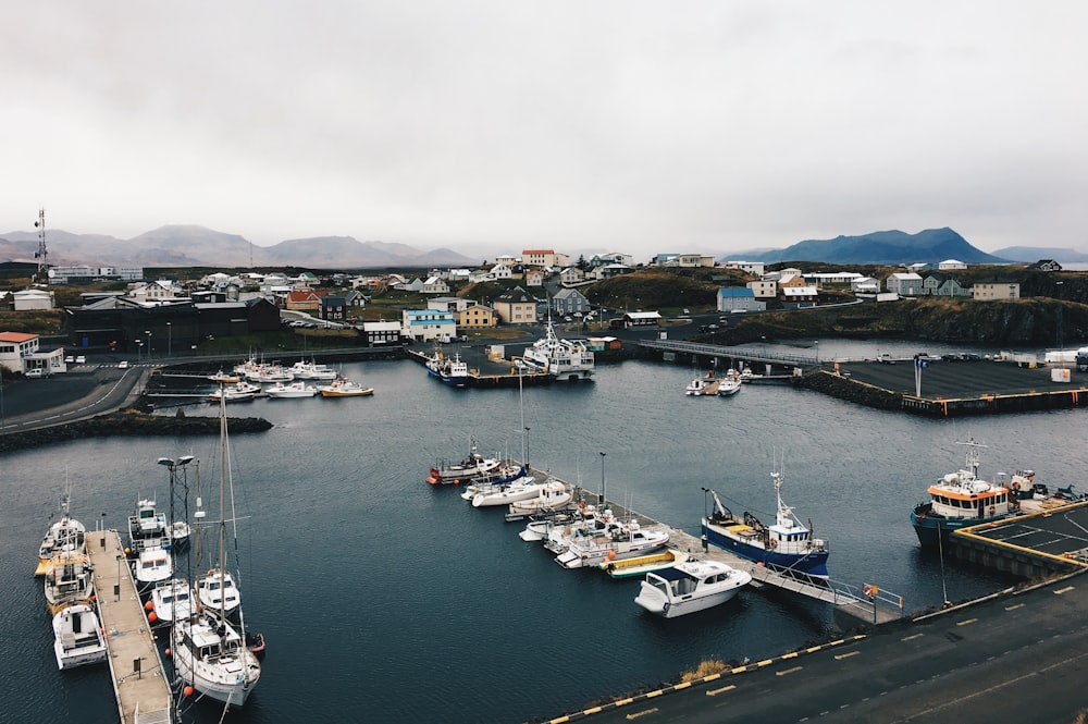 aerial photo at port near building at daytime