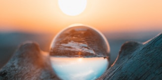 closeup photography of glass on top of wood branch