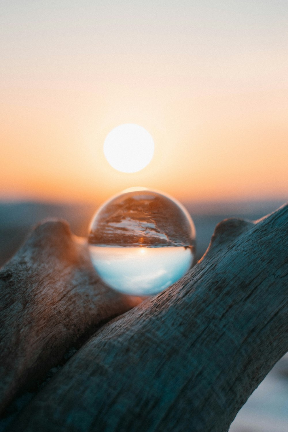 closeup photography of glass on top of wood branch